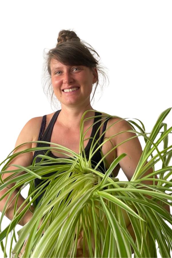 Julie Verstraete